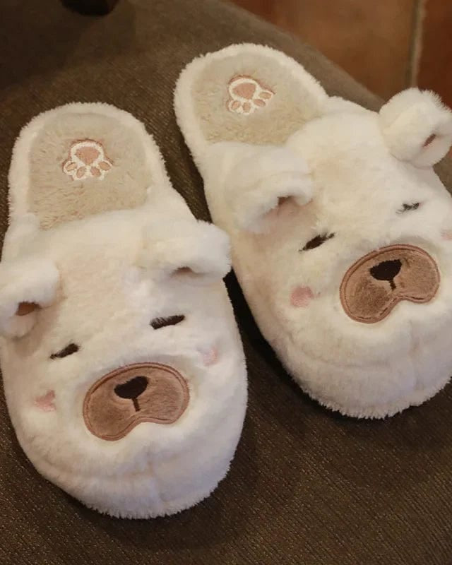 CN38-39 / Beige (Slides