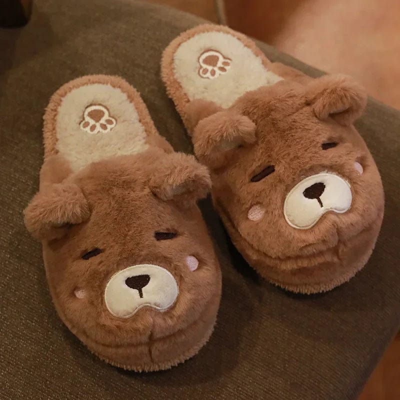 CN40-41 / Khaki (Slides