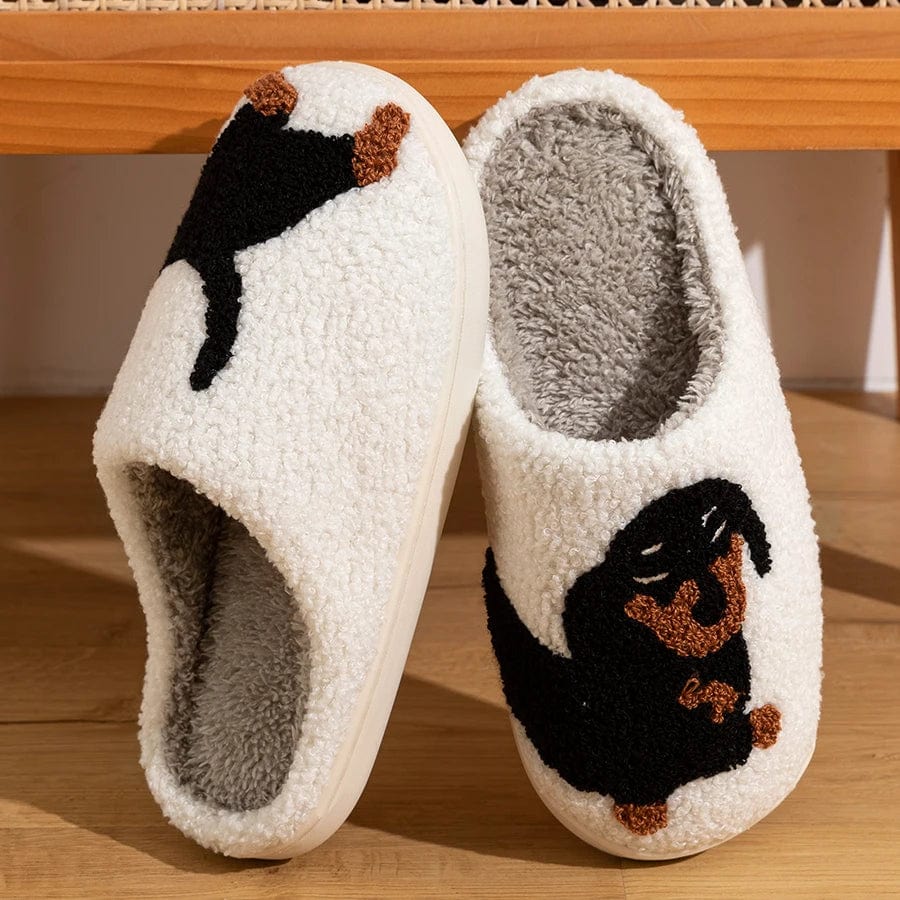 Chaussons |Teckel