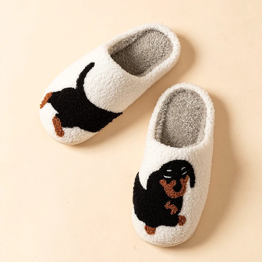 Chaussons |Teckel