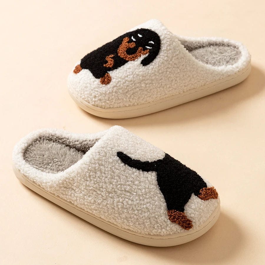 Chaussons |Teckel