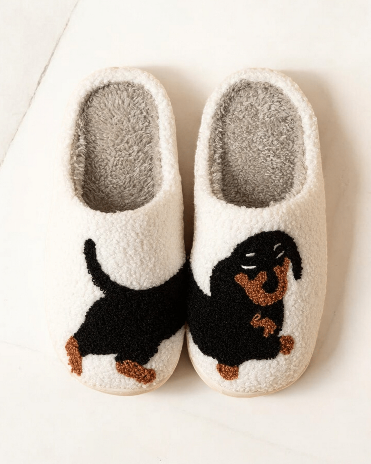 Chaussons |Teckel Blanc / 36-37
