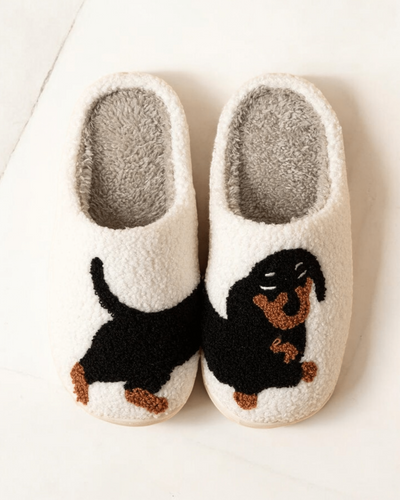 Chaussons |Teckel Blanc / 36-37